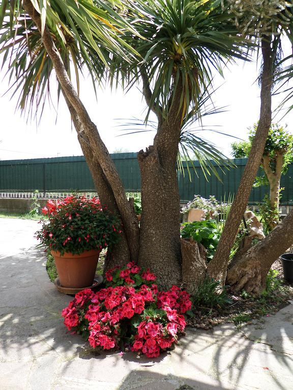 B&B Villino Lory Marino Exterior photo